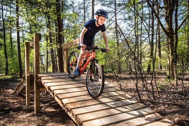 Fietsen op de Veluwe